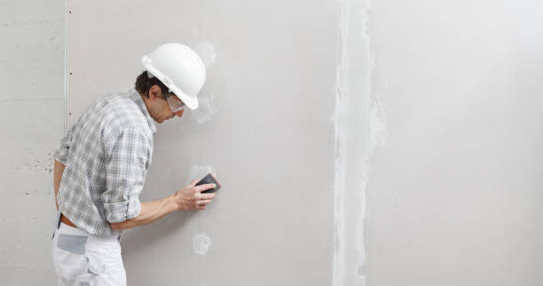 Best Acoustic or Soundproof Drywall Installation  in Meadow Vista, CA